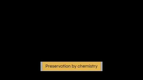 Thesis label: The claim the last few lines argued, as a short label