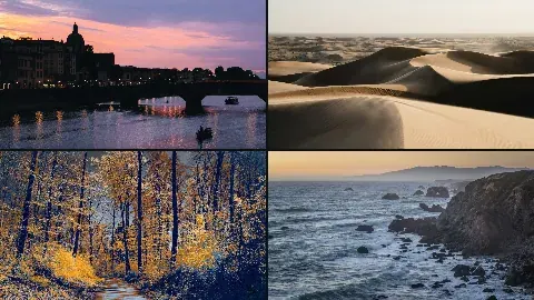 Quad grid: Four members of a set, one panel each