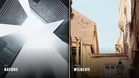 Split screen: Two things the line names, side by side