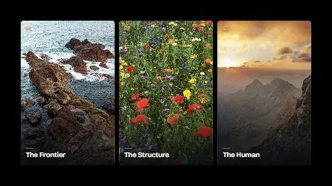 Triptych: Three related pictures sliding into one frame